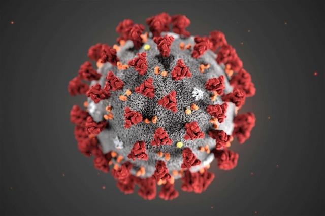 Cornavirus, 9 casi sul territorio: attenetevi ai dati ufficiali