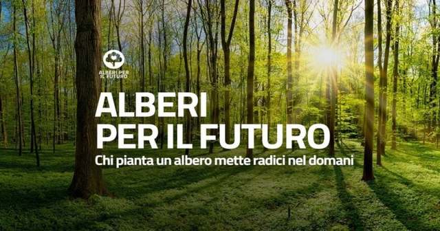 "Un albero per il futuro", domani al via il progetto per la piantumazione di 50 alberi